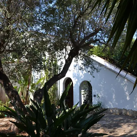 Casa Banana بيت للعطل Palumbo